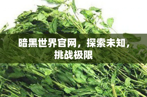 暗黑世界官网，探索未知，挑战极限