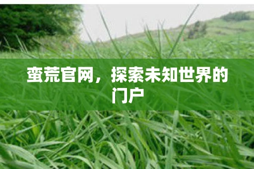 蛮荒官网，探索未知世界的门户