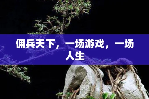 佣兵天下，一场游戏，一场人生