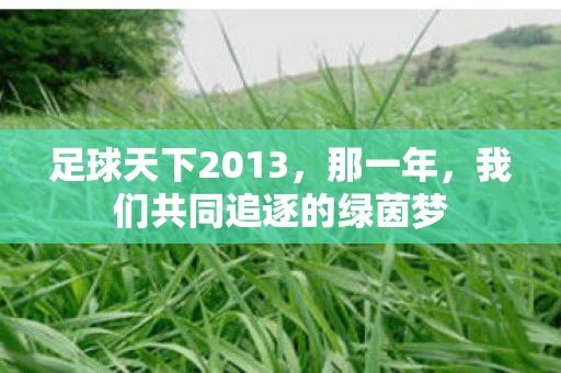 足球天下2013，那一年，我们共同追逐的绿茵梦