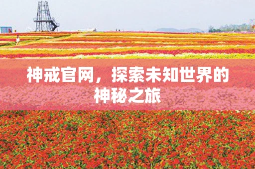 神戒官网，探索未知世界的神秘之旅
