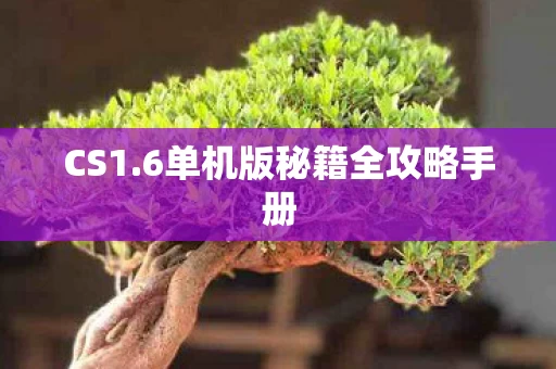6单机版秘籍全攻略手册图片