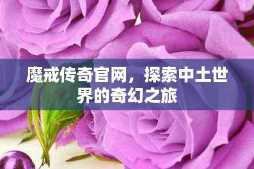 魔戒传奇官网，探索中土世界的奇幻之旅