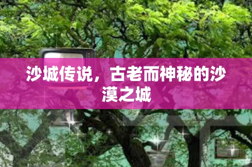 沙城传说，古老而神秘的沙漠之城