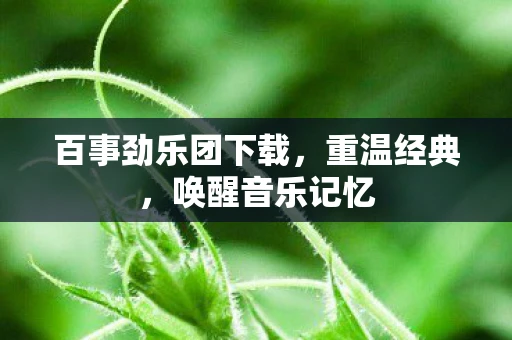 百事劲乐团下载，重温经典，唤醒音乐记忆