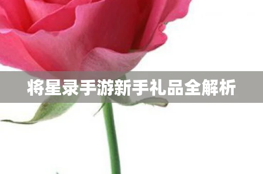 将星录手游新手礼品全解析