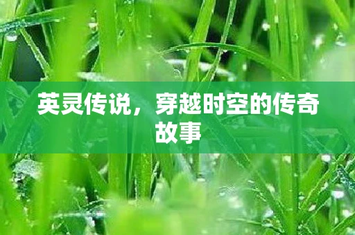 英灵传说，穿越时空的传奇故事