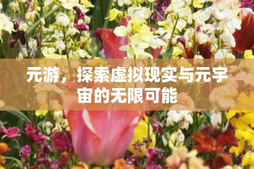 元游，探索虚拟现实与元宇宙的无限可能