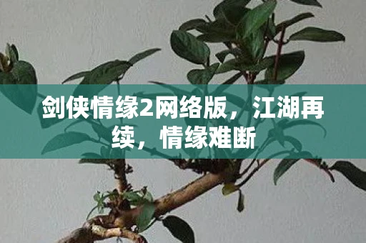 剑侠情缘2网络版，江湖再续，情缘难断