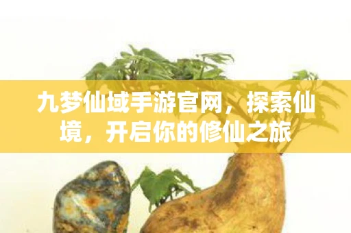 九梦仙域手游官网，探索仙境，开启你的修仙之旅