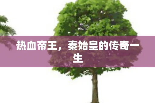 热血帝王，秦始皇的传奇一生