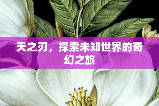 天之刃，探索未知世界的奇幻之旅