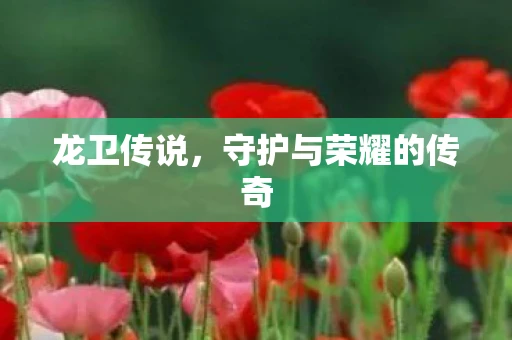 龙卫传说，守护与荣耀的传奇