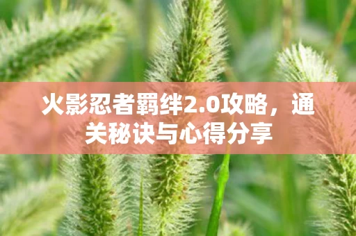 通关秘诀与心得分享图片