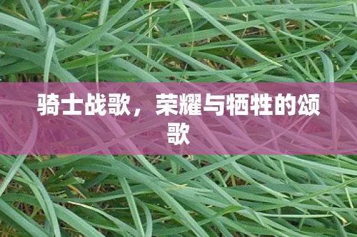 骑士战歌，荣耀与牺牲的颂歌