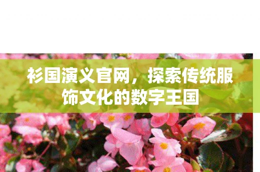 衫国演义官网，探索传统服饰文化的数字王国