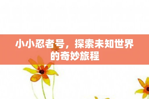 小小忍者号，探索未知世界的奇妙旅程