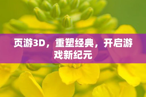 页游3D，重塑经典，开启游戏新纪元
