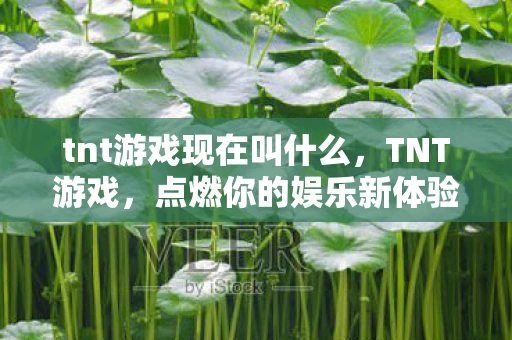 tnt游戏现在叫什么，TNT游戏，点燃你的娱乐新体验