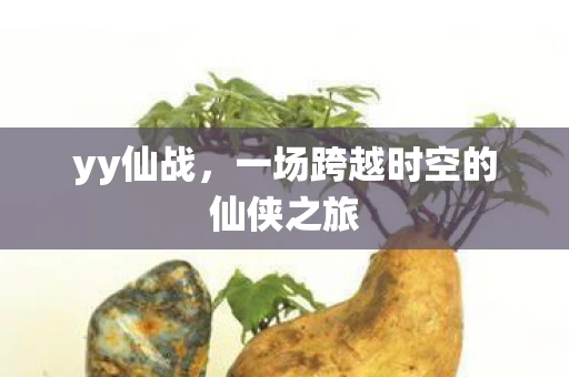 yy仙战，一场跨越时空的仙侠之旅