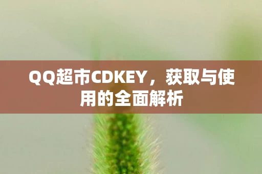 获取与使用的全面解析图片