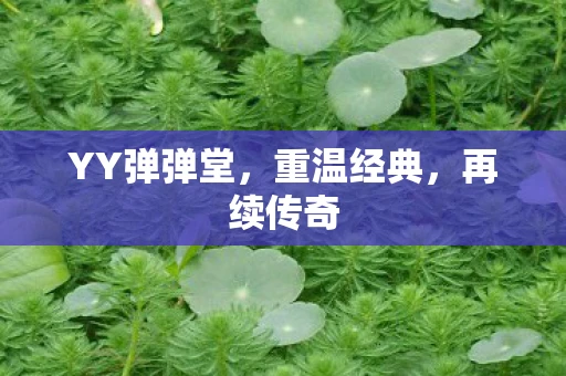 YY弹弹堂，重温经典，再续传奇