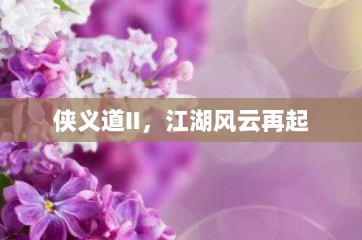 侠义道II，江湖风云再起