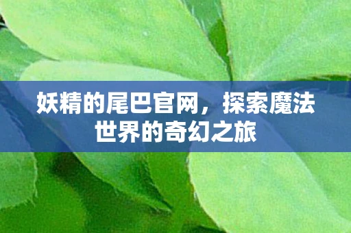 妖精的尾巴官网，探索魔法世界的奇幻之旅