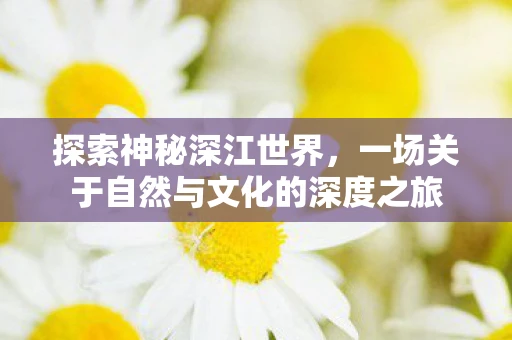探索神秘深江世界，一场关于自然与文化的深度之旅