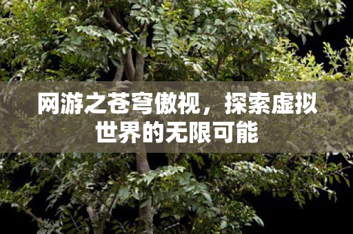 网游之苍穹傲视，探索虚拟世界的无限可能