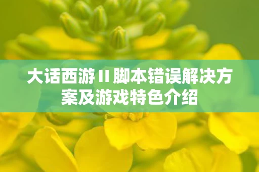 大话西游Ⅱ脚本错误解决方案及游戏特色介绍图片