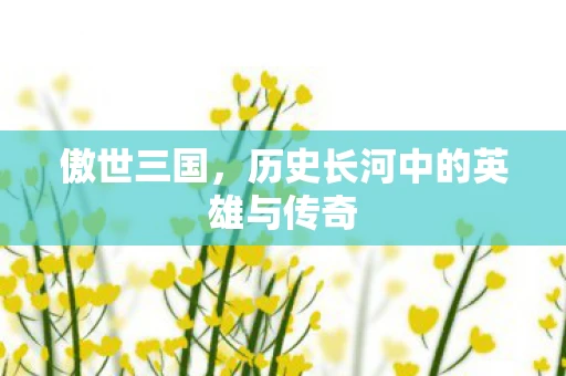傲世三国，历史长河中的英雄与传奇