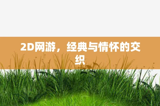 2D网游，经典与情怀的交织