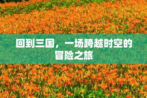 回到三国，一场跨越时空的冒险之旅