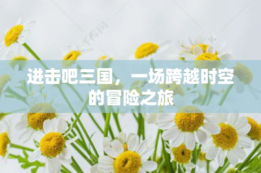 进击吧三国，一场跨越时空的冒险之旅