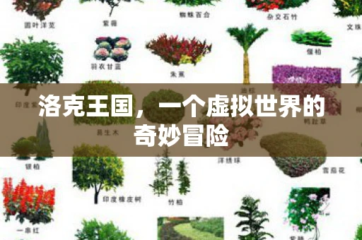 洛克王国，一个虚拟世界的奇妙冒险