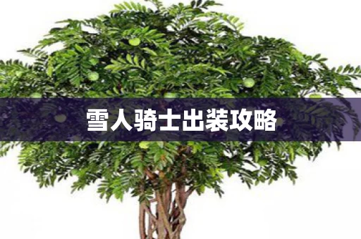 雪人骑士出装攻略图片