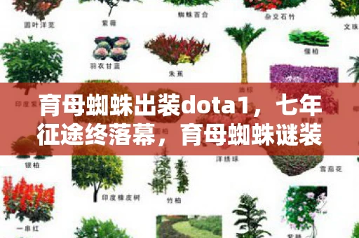 育母蜘蛛出装dota1图片
