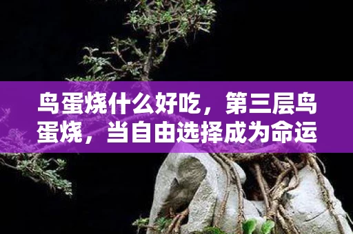 当自由选择成为命运牢笼图片
