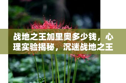 沉迷战地之王加里奥竟是大脑被操控图片