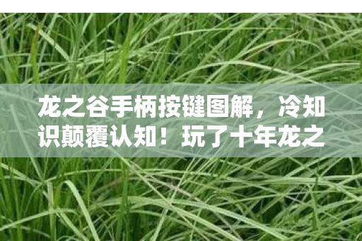 手柄设置竟让我目瞪口呆图片