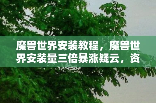 魔兽世界安装量三倍暴涨疑云图片