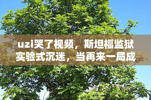 当再来一局成为多巴胺的细思极恐囚笼图片