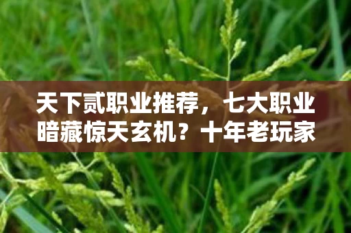 十年老玩家揭秘天下贰终极真相图片