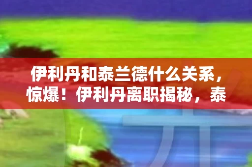 泰兰德方案竟藏500万隐情图片