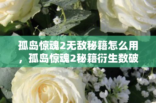 孤岛惊魂2无敌秘籍怎么用图片