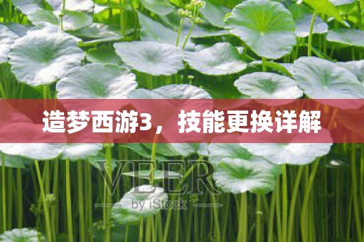 技能更换详解图片