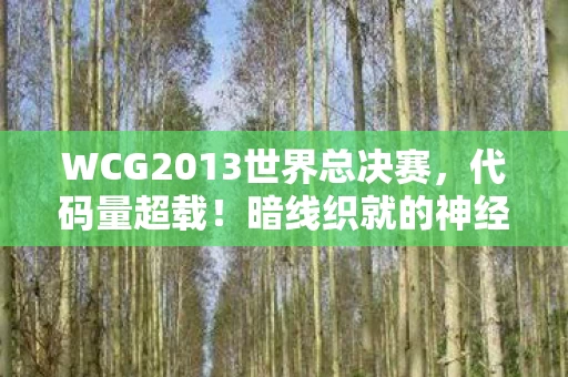 WCG2013世界总决赛,代码量超载!暗线织就的神经突触战场,这场WCG让全球玩家头皮发麻 WCG2013世界总决赛,代码量超载!暗线织就的神经突触战场,这场WCG让全球玩家头皮发麻