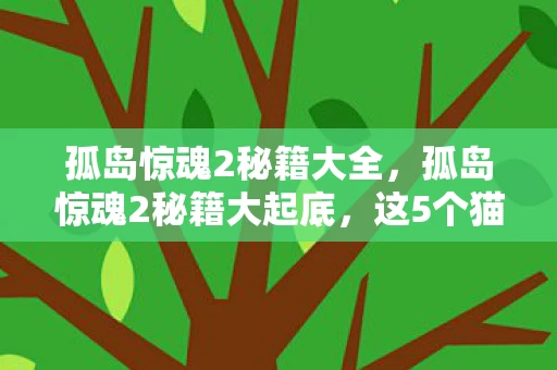 孤岛惊魂2秘籍大全，孤岛惊魂2秘籍大起底，这5个猫腻操作，让你分分钟上头又上当！
