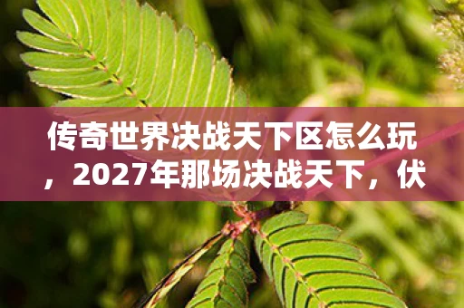 传奇世界决战天下区怎么玩，2027年那场决战天下，伏笔藏了十年，如今想起鼻子一酸